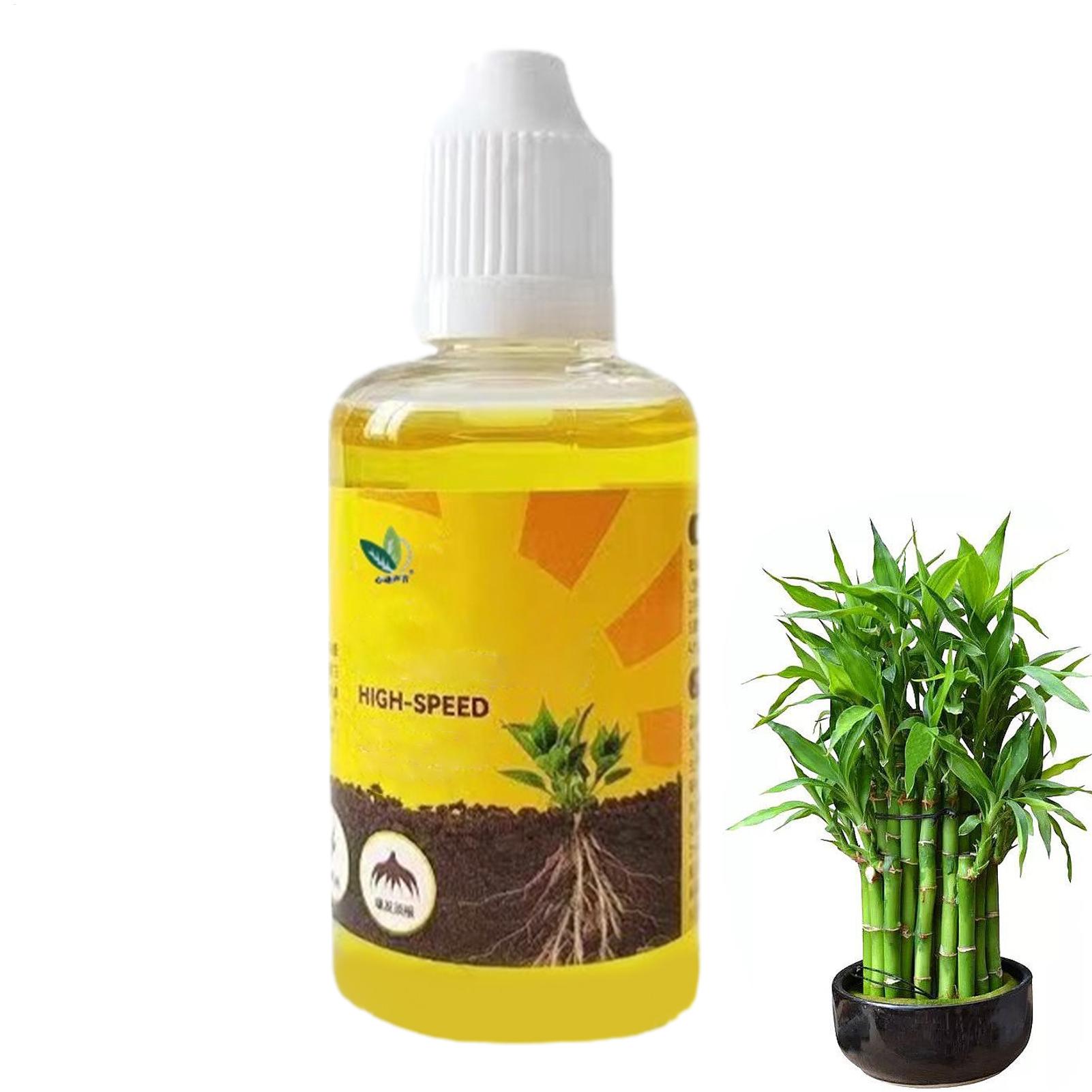 Root Stimulator Liquid - Stimolatore di Radicazione per Piante, Liquido