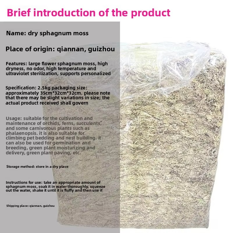 Muschio di Sfagno 2,5 kg, sfus - Sphagnum Moss Dry recensione e prezzo