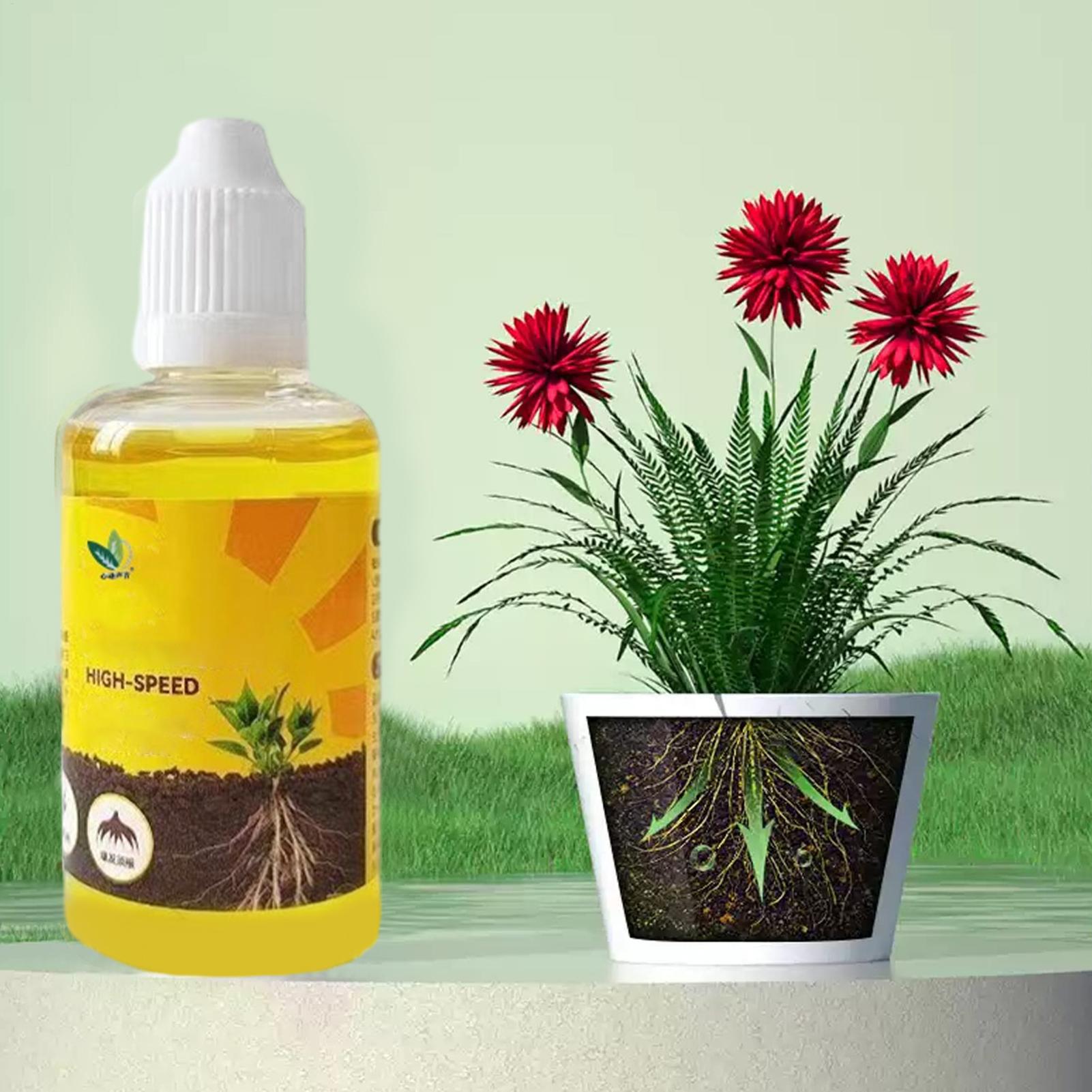 Stimolatore di Radicazione per - Root Stimulator Liquid recensione e prezzo