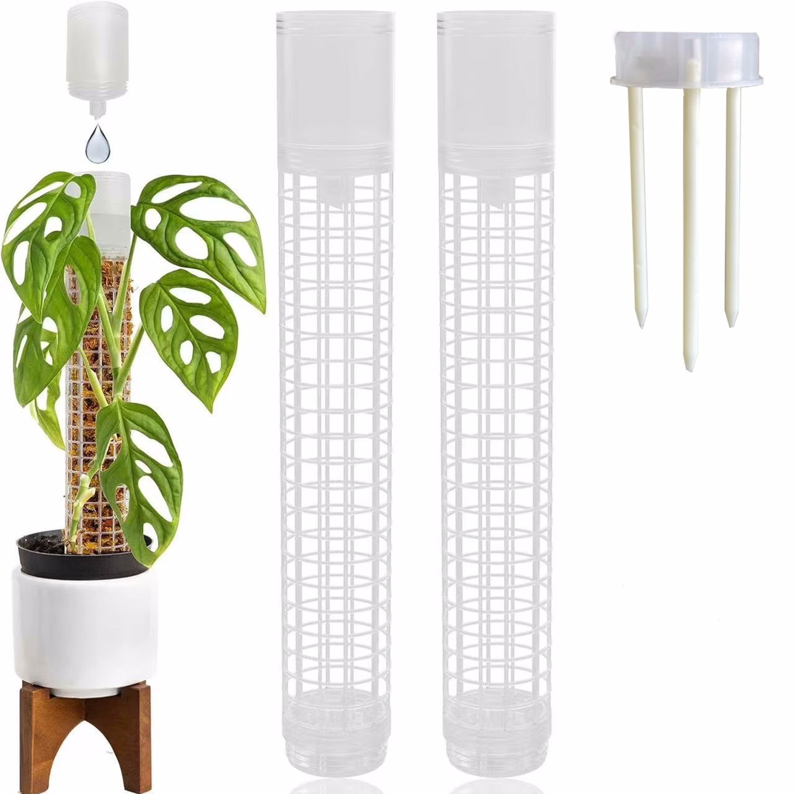 Supporto per piante in plastic - Sphagnum Moss Dry recensione e prezzo