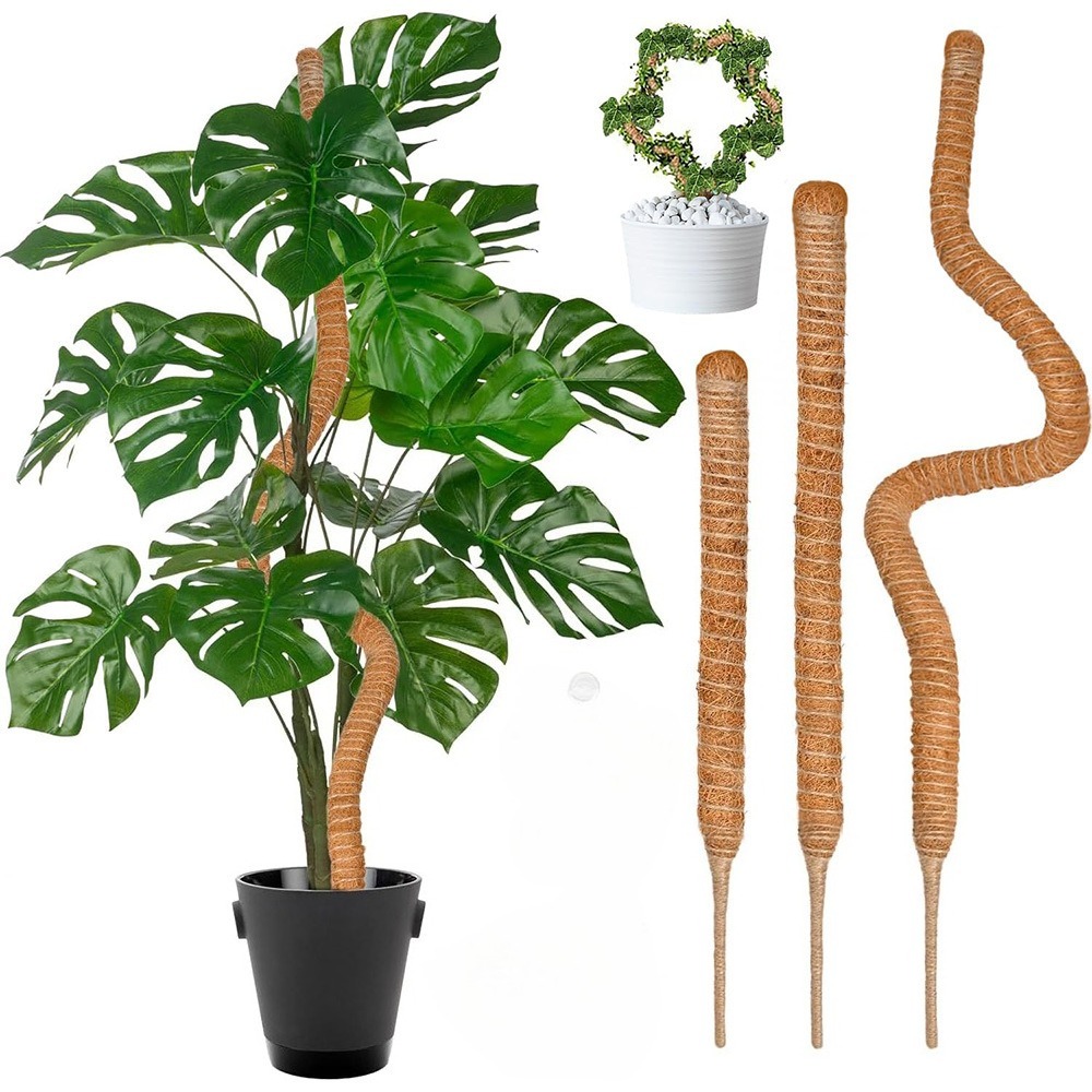 30-100 cm Piante pieghevoli Su - Sphagnum Moss Dry recensione e prezzo
