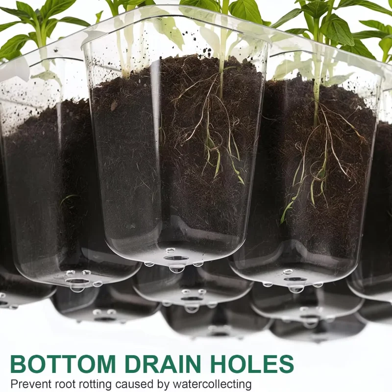 Kit di Germinazione con Vassoi - Humidity Dome Kit recensione e prezzo
