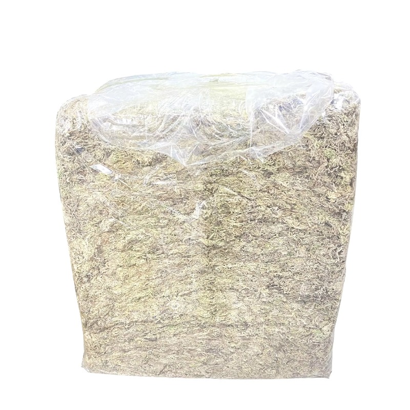 5KG Muschio Sfagno Compresso E - Sphagnum Moss Dry recensione e prezzo