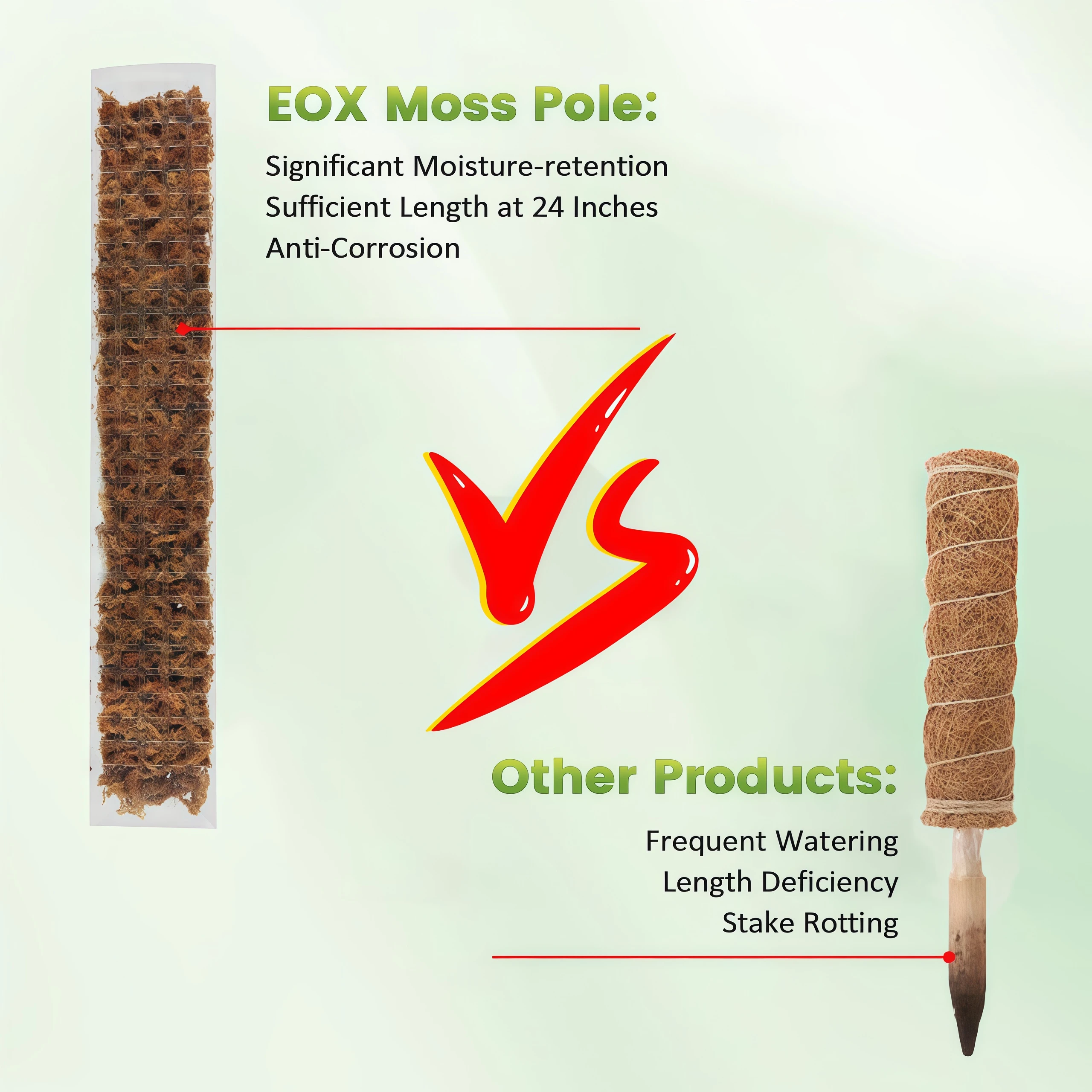 Supporto per piante rampicanti - Sphagnum Moss Dry recensione e prezzo