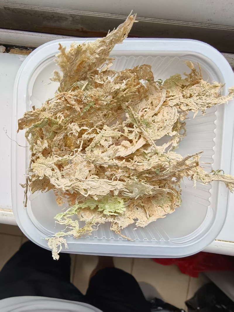 Muschio di Sfagno Premium per  - Sphagnum Moss Dry recensione e prezzo